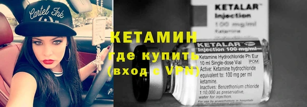 крисы Баксан