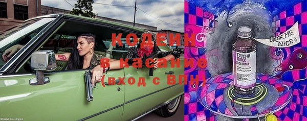 крисы Баксан